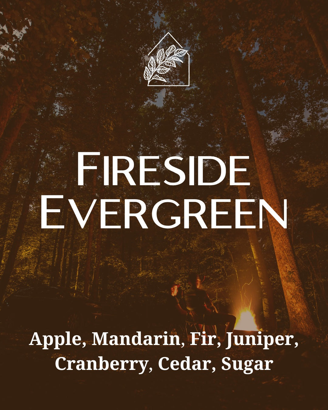 Fireside Evergreen