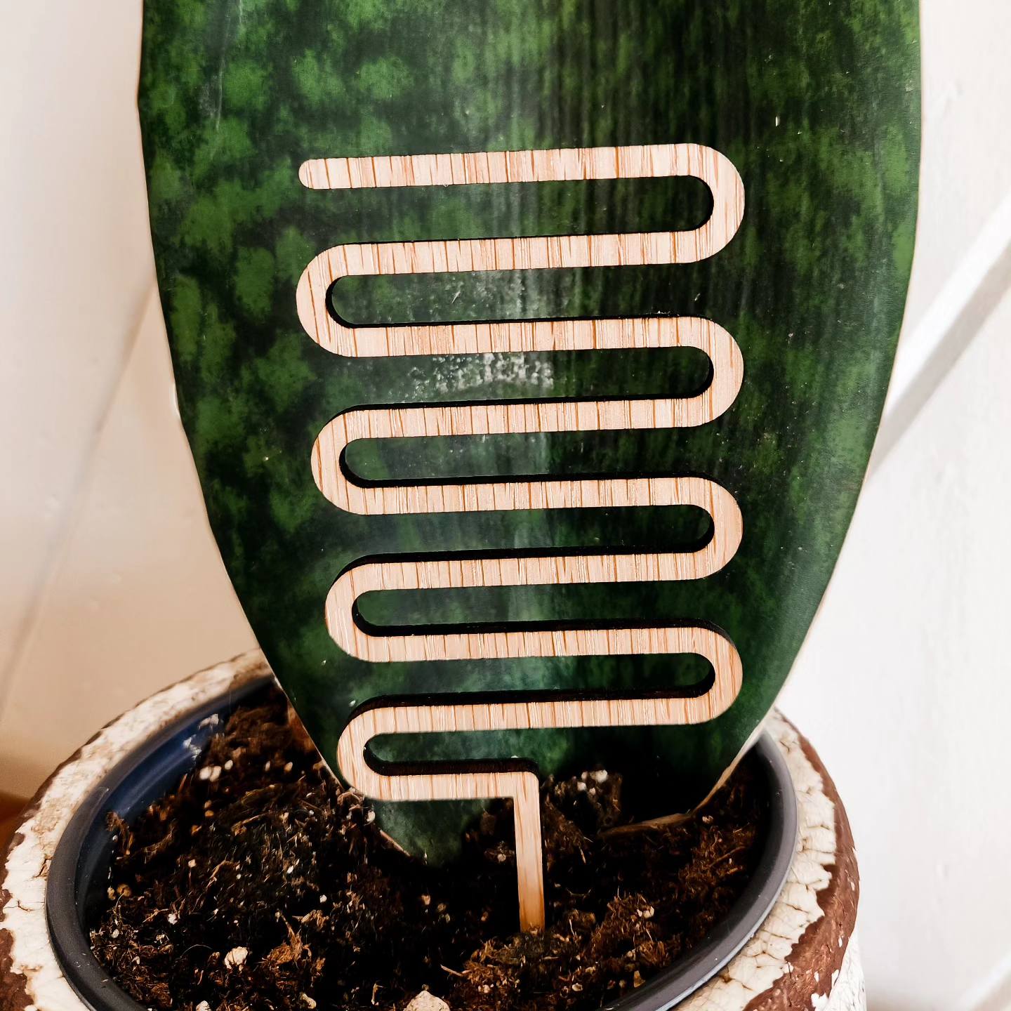 Plant Trellis - Variety of Designs