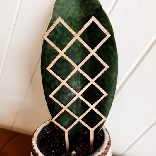 Plant Trellis - Variety of Designs