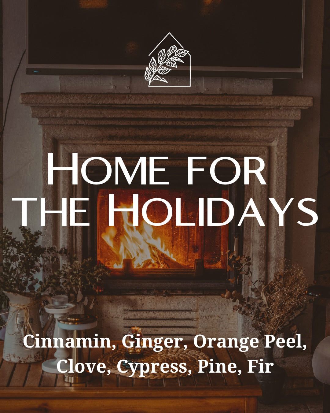 Home For The Holidays