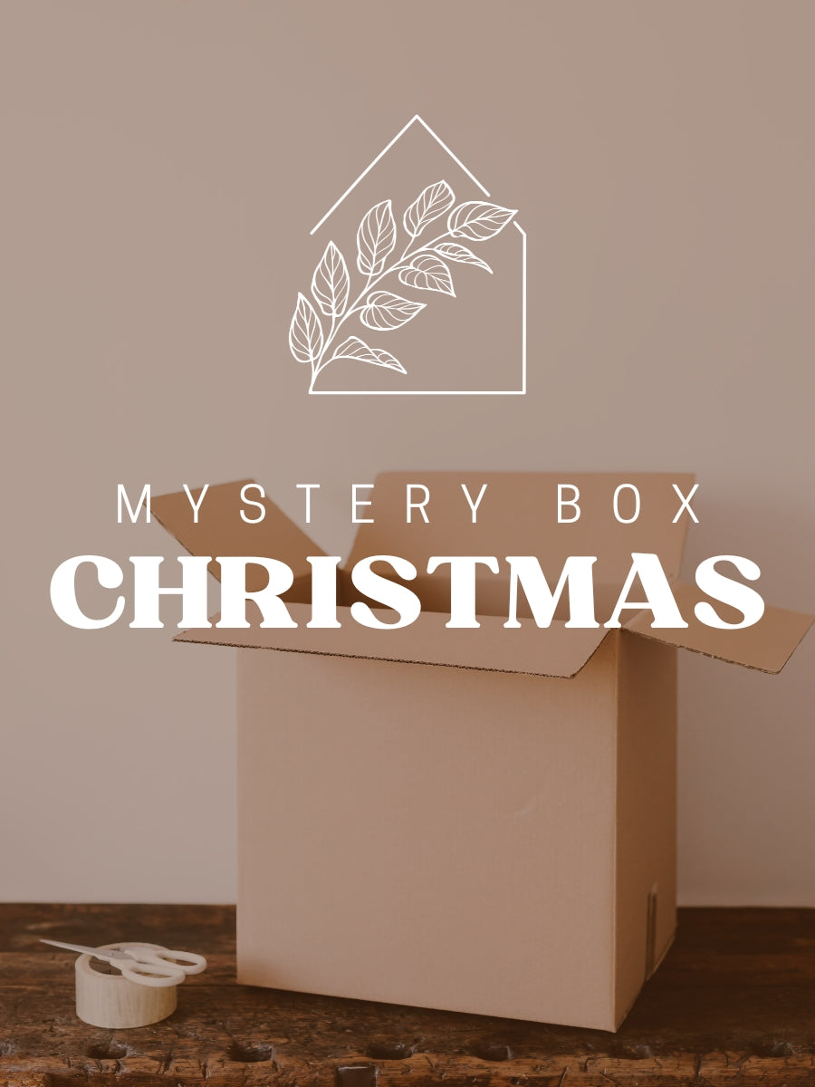Christmas Mystery Box