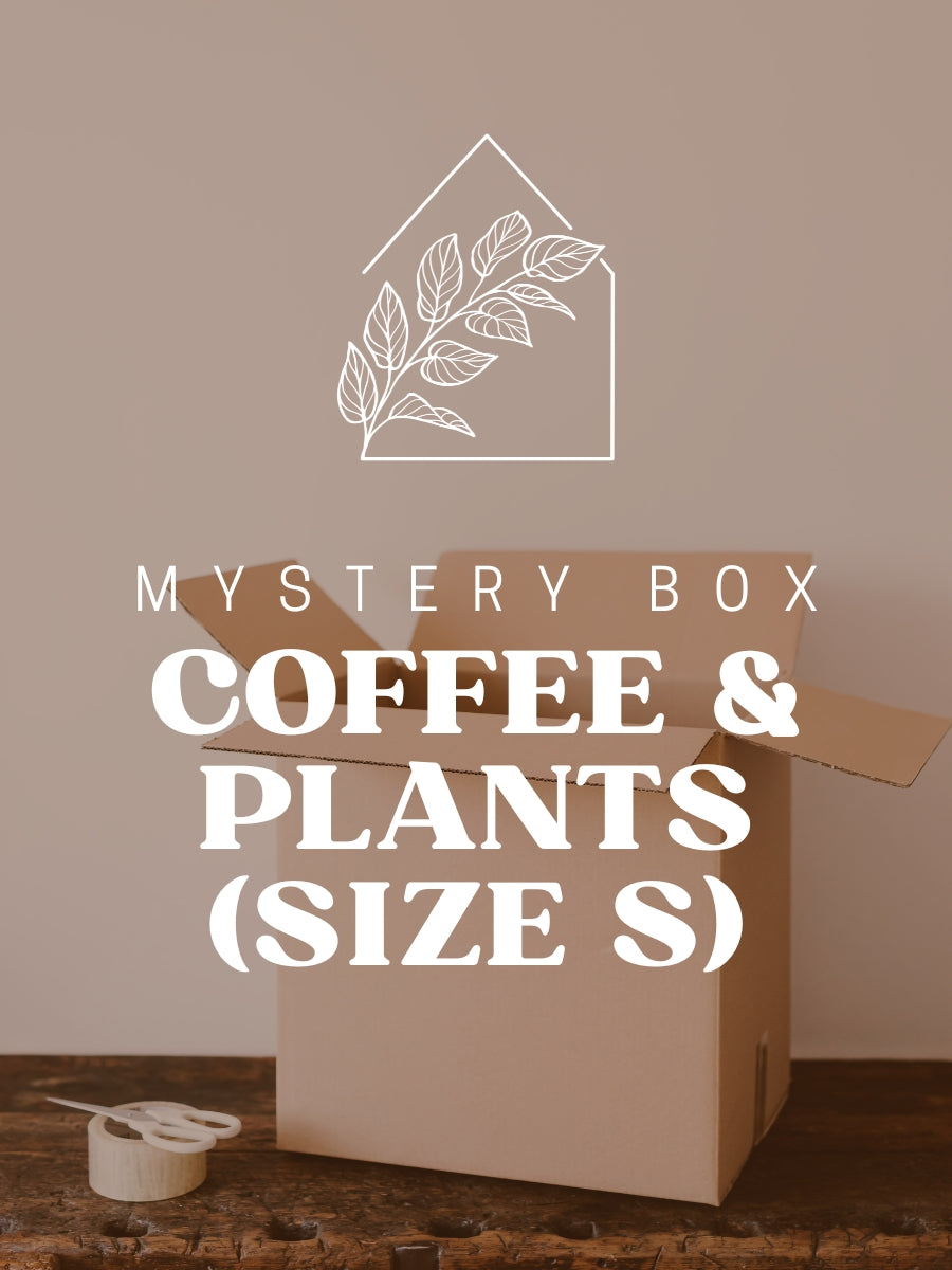 Coffee & Plants Mystery Box (Size S)