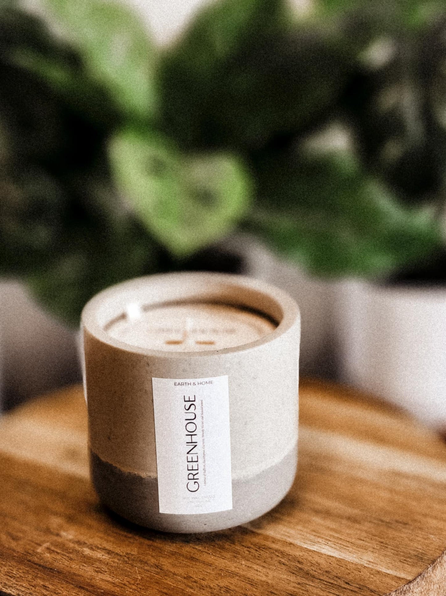 Greenhouse 6oz Candle (Concrete Vessel)