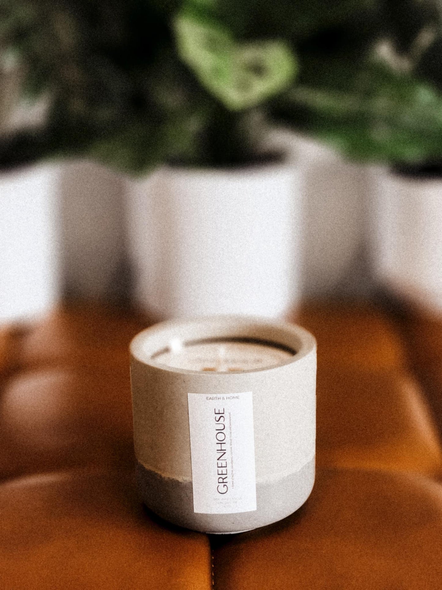 Greenhouse 6oz Candle (Concrete Vessel)