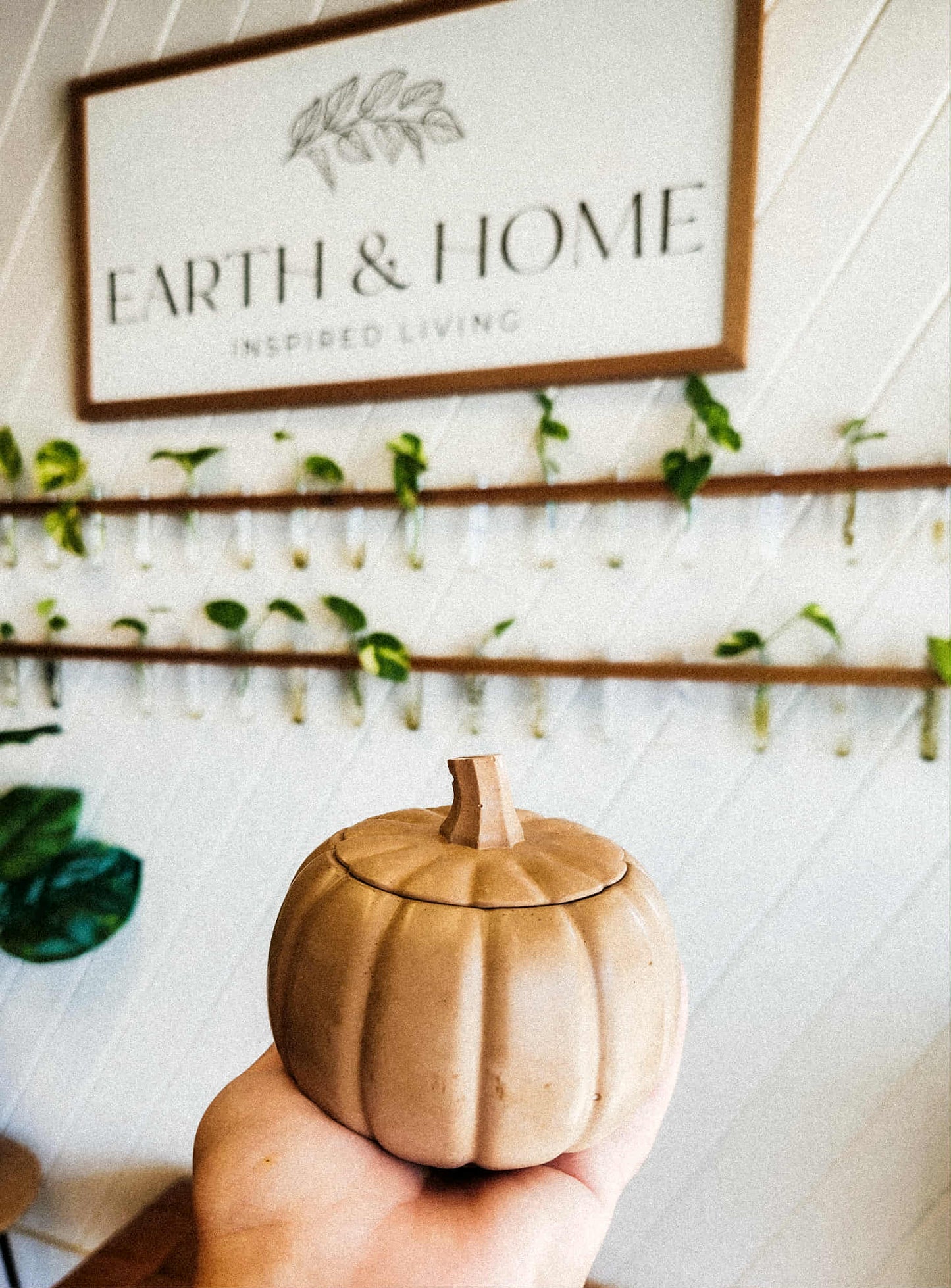 Pumpkin Candle