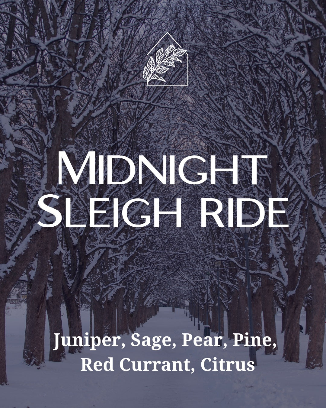 Midnight Sleighride