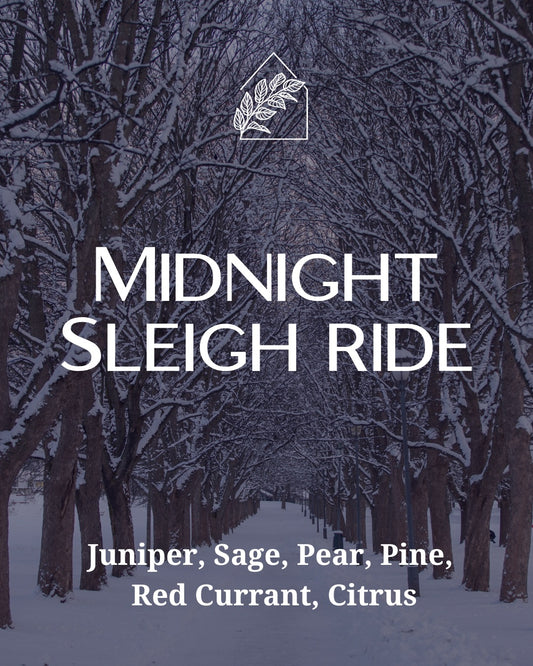 Midnight Sleighride