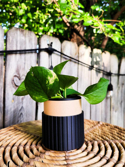 Prop Pot
