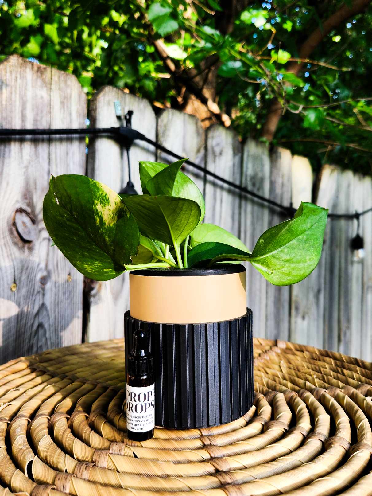 Prop Pot