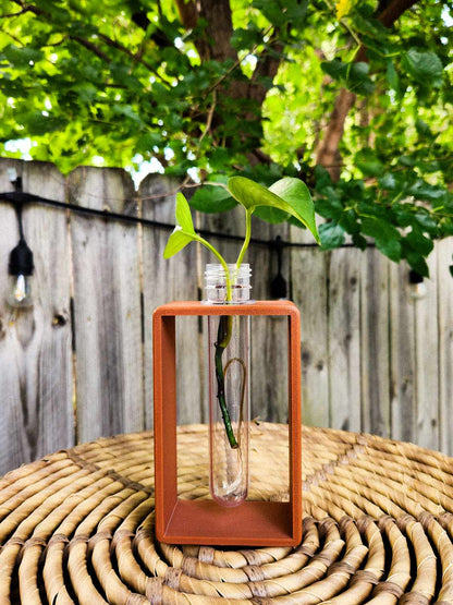 Single Rectangle Propagator