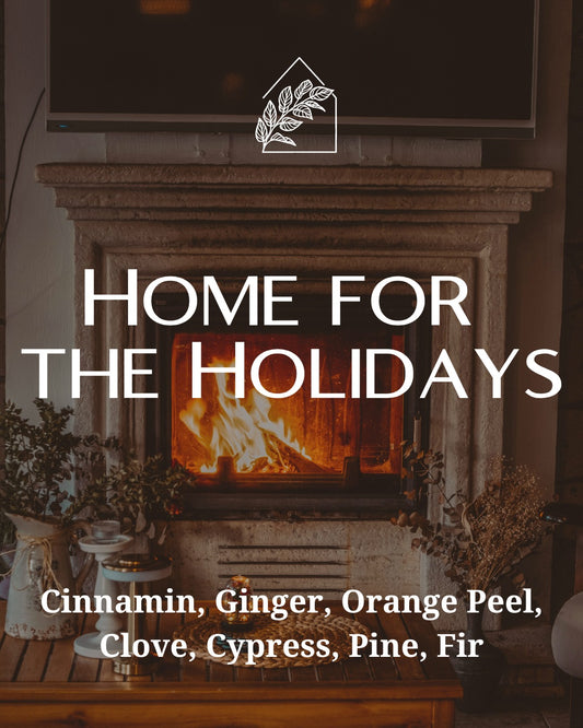 Home For The Holidays