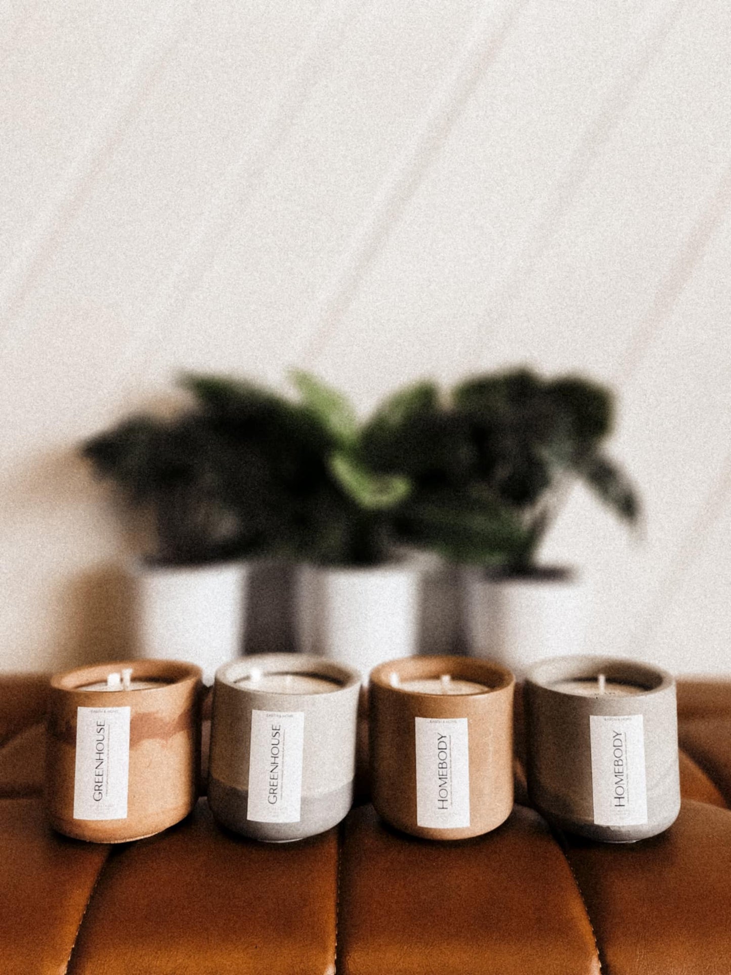 Greenhouse 6oz Candle (Concrete Vessel)