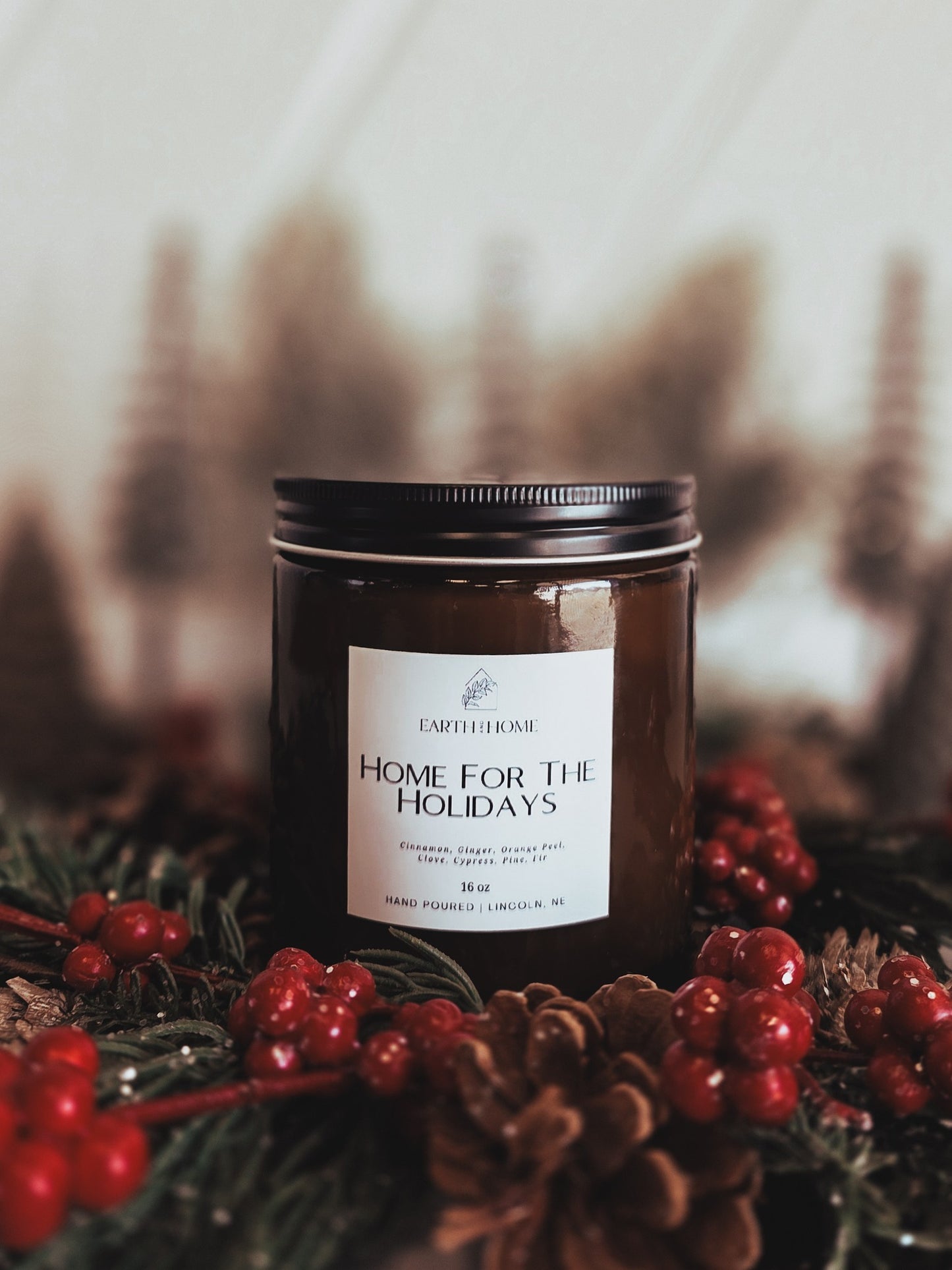 Home for the Holidays