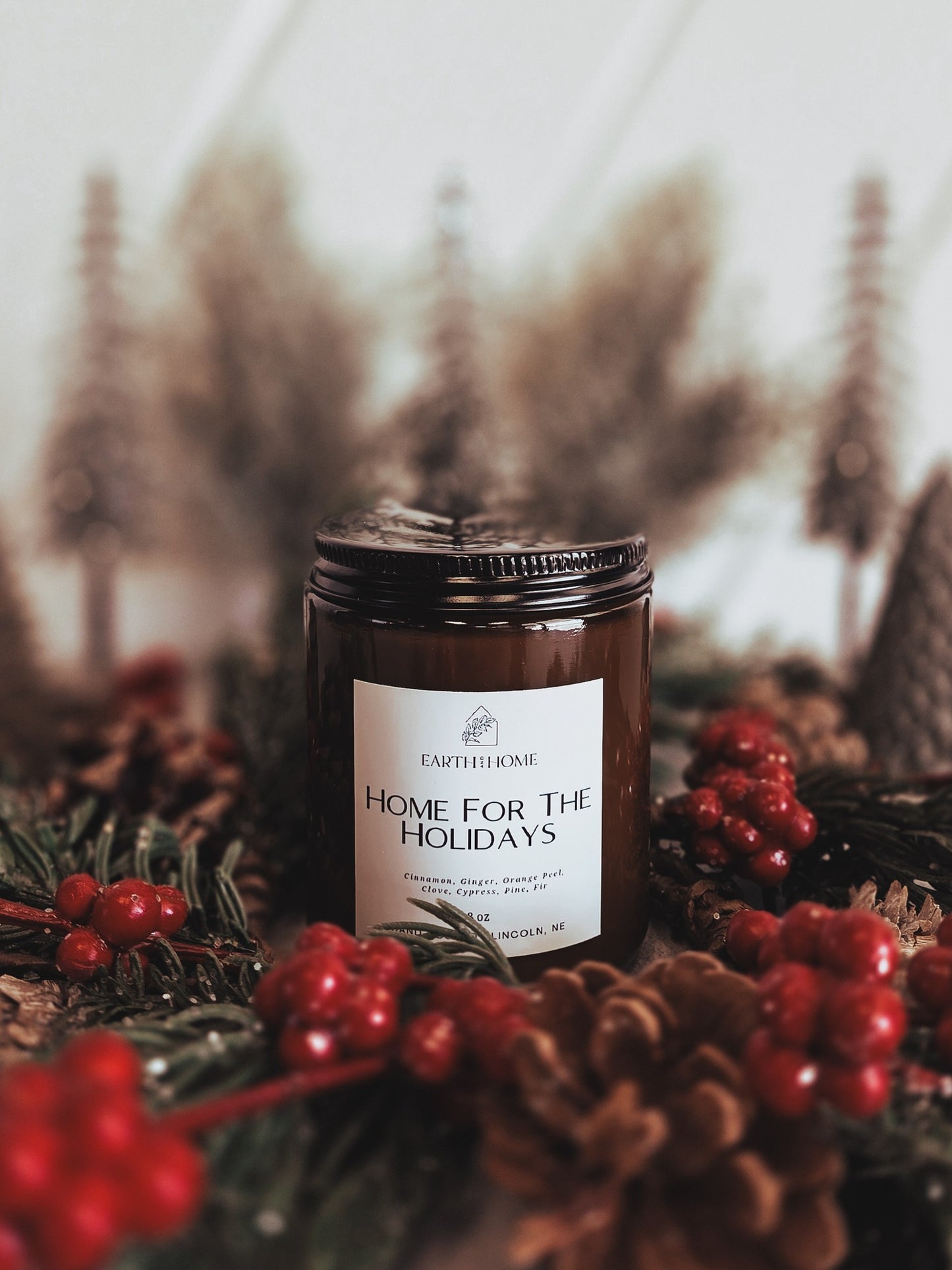 Home for the Holidays