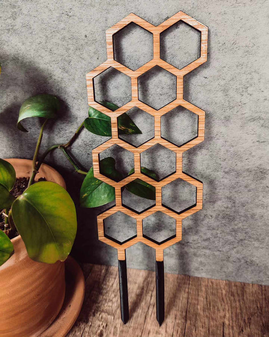 Plant Trellis - Variety of Designs