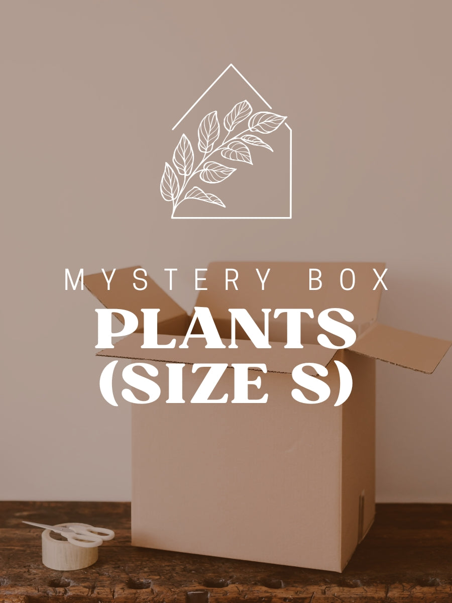 Plants Mystery Box (Size S)