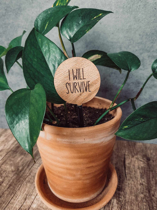 Funny Plant Marker